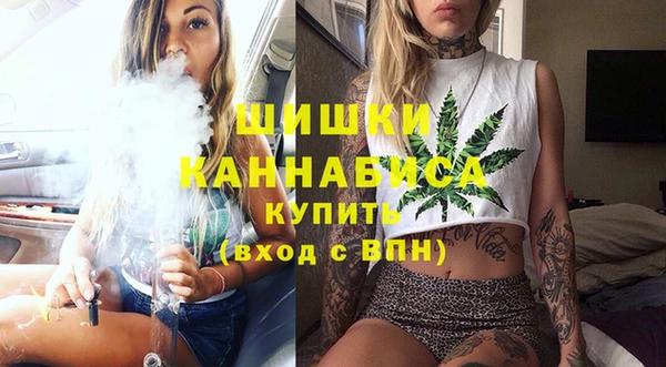 ГАЛЛЮЦИНОГЕННЫЕ ГРИБЫ Лихославль