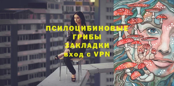 ГАЛЛЮЦИНОГЕННЫЕ ГРИБЫ Лихославль