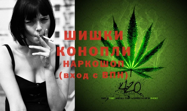 ГАЛЛЮЦИНОГЕННЫЕ ГРИБЫ Лихославль