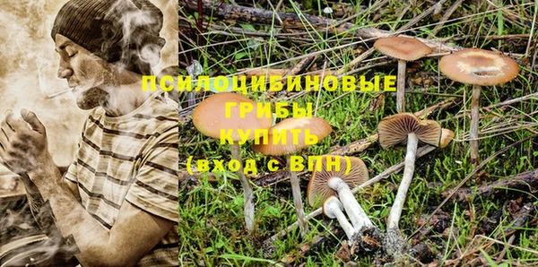 ГАЛЛЮЦИНОГЕННЫЕ ГРИБЫ Лихославль