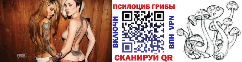 Купить где  Черноголовка  Псилоцибиновые грибы Psilocybine cubensis 